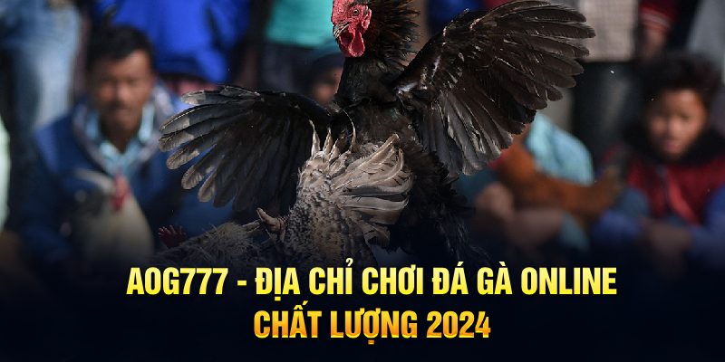 Aog777 - Địa chỉ chơi đá gà online chất lượng 2024