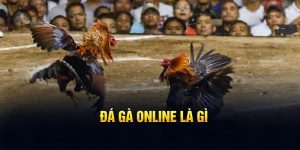 Đá gà online là gì? 